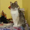 Отзыв от Антонина Злобина